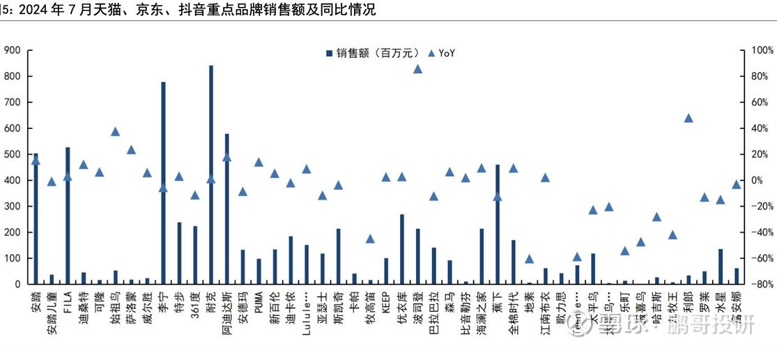 电商数据分析报告案例，某电商平台销售数据分析插图