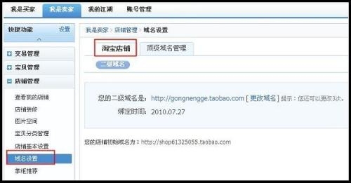 二级域名教程插图