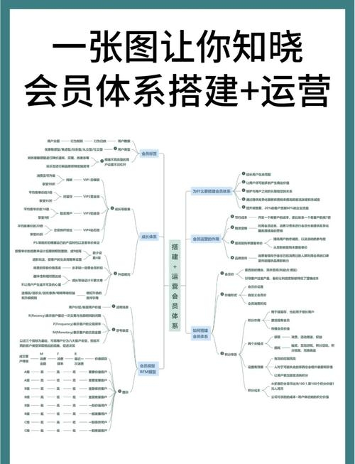 会员管理系统的构建与功能特点，提升药店业务效率的关键工具及餐饮行业的高效运营助手插图