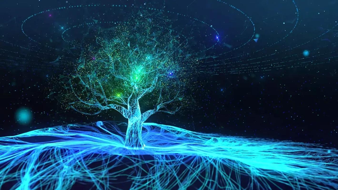 图片视频制作，从素材到作品的完美呈现插图