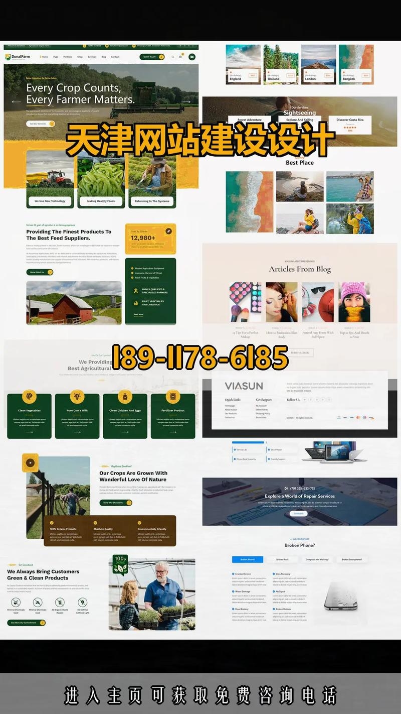 天津自制网站建设特点插图