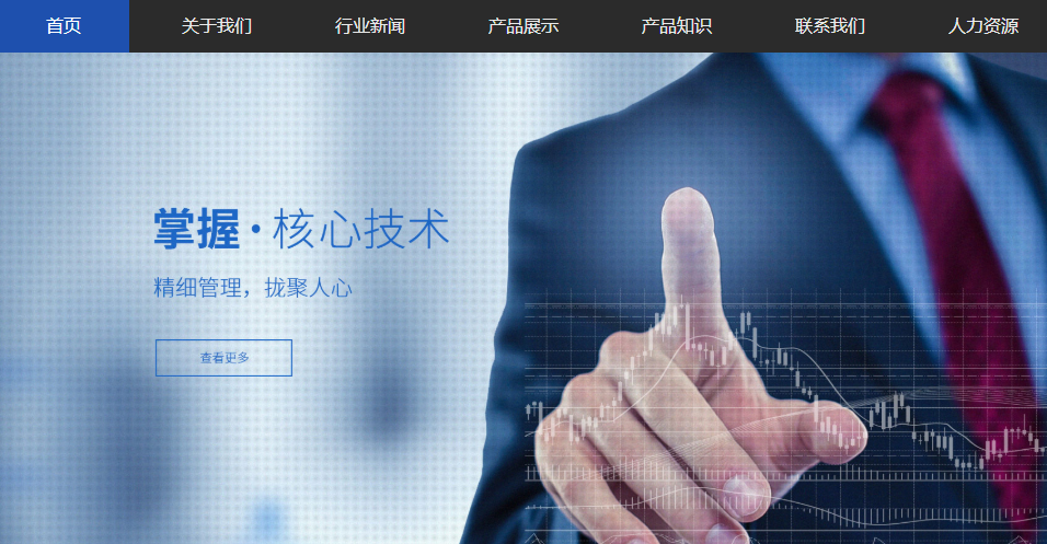 网站创建指南插图