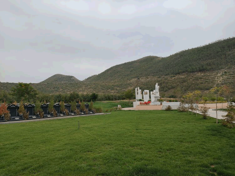 协会官方网站定制价格解析插图