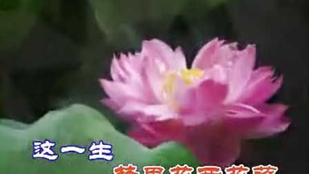 荷花直播在线观看免费完整版高清体验插图