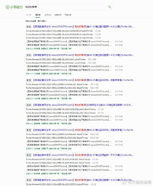 磁力搜索引擎排行及免费影视资源介绍插图