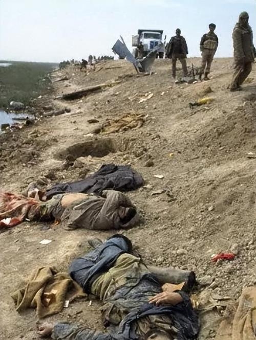 英伊朗之战插图