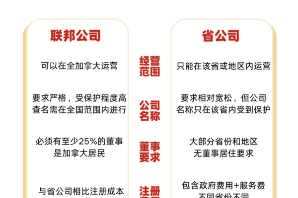 电商代运营公司的选择，哪个公司更胜一筹？-新乐天