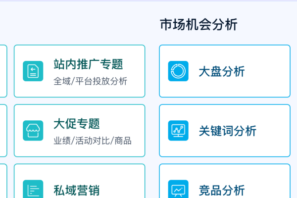电商运营年终汇报，业绩卓越，工作回顾-新乐天