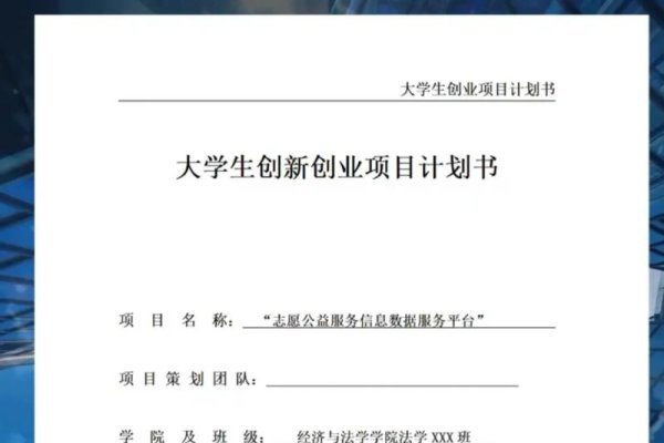 大学生创新创业项目计划书模版-新乐天