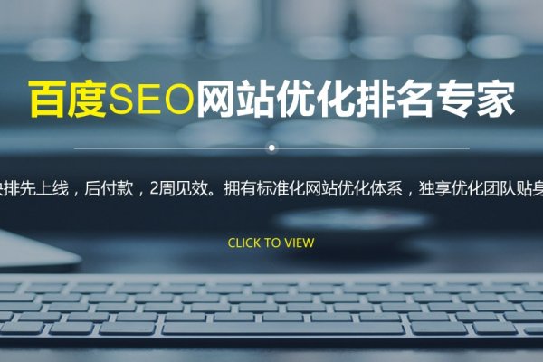 东莞聚慧网页设计，专业网站建设解决方案与SEO策略实施-新乐天