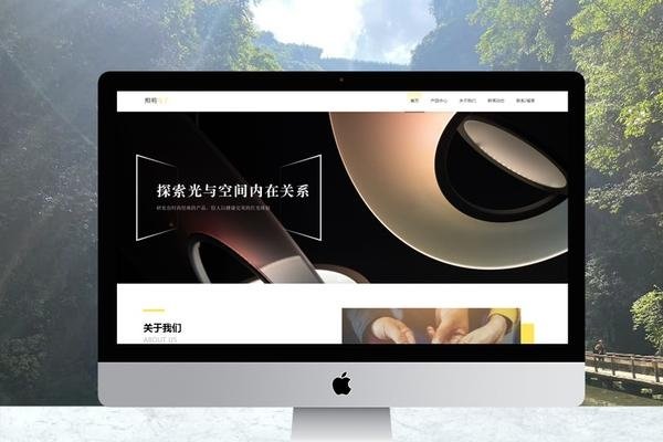 定制网页费用解析，专业团队与个人制作成本差异及影响因素分析-新乐天