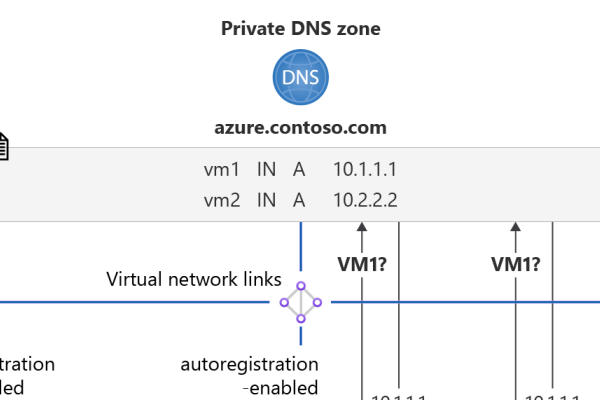 公共私人DNS，解析网络新篇章-新乐天