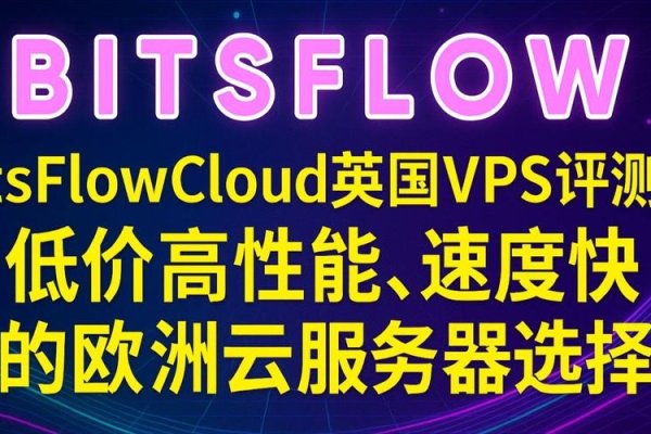 国外VPS主机的缺点-新乐天