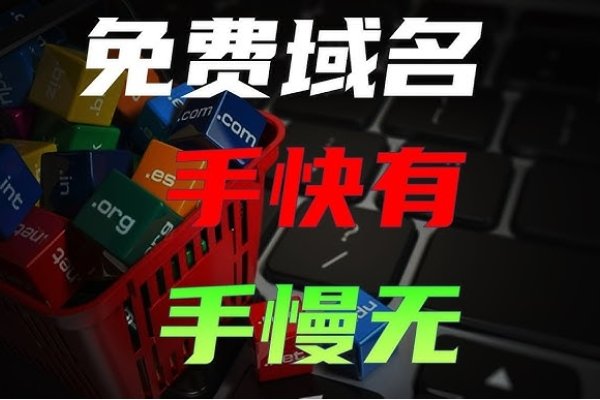 关于Org域名注册失败的探讨-新乐天