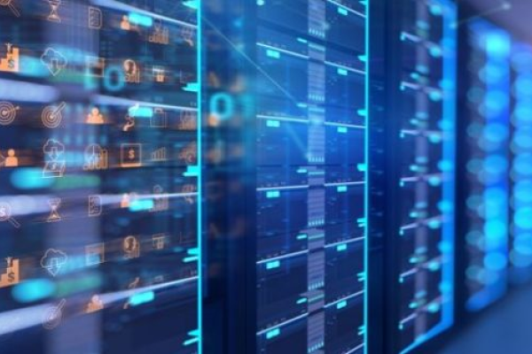 美国站群多IP服务器提升SEO收录-新乐天