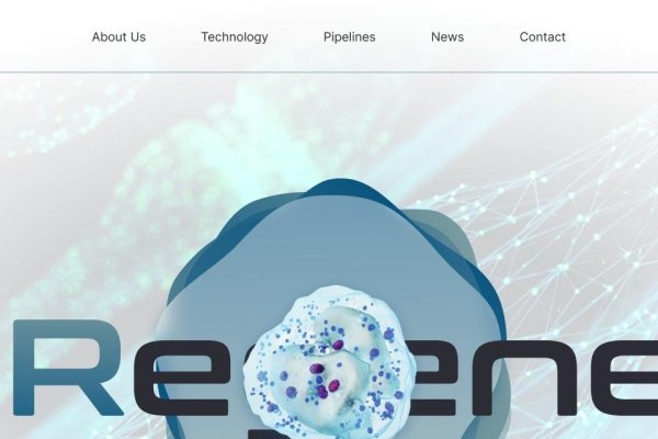 上海站霸,专业网站建设公司的力量与影响-新乐天