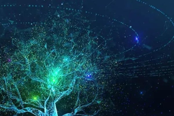 图片视频制作，从素材到作品的完美呈现-新乐天