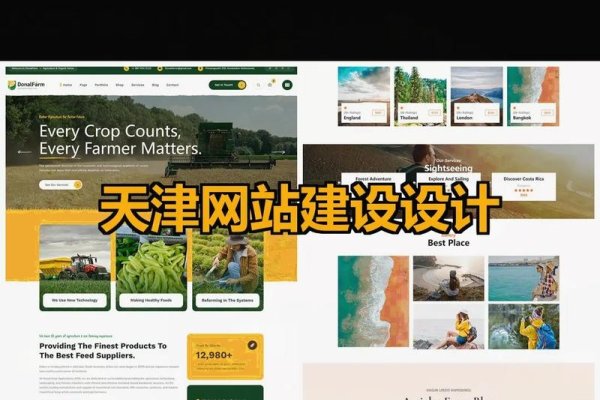 天津自制网站建设特点-新乐天