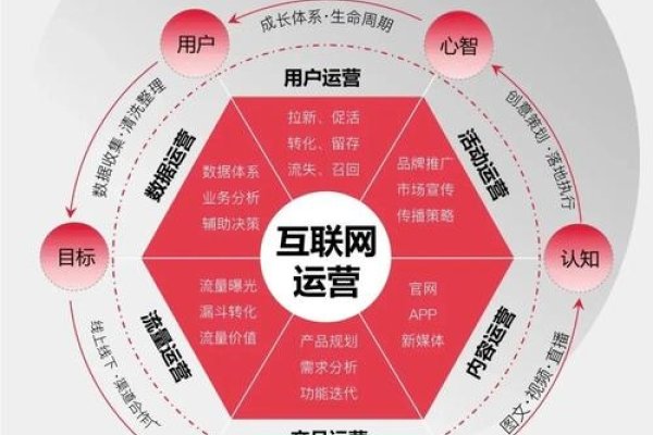 网推所，高效运营模式与策略的融合-新乐天