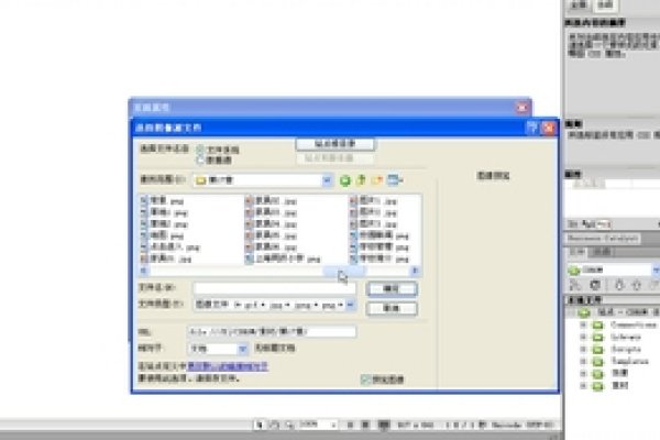 网页设计，链接视频代码详解-新乐天