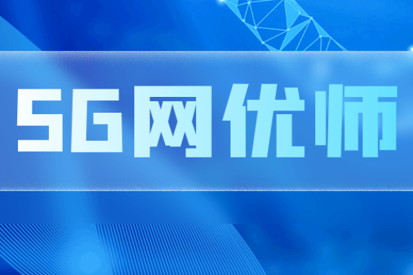 网络优化工程师述职报告，回顾与展望-新乐天