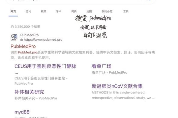 网站关键词查询工具介绍，AnswerThePublic与Keywords Everywhere的功能亮点-新乐天