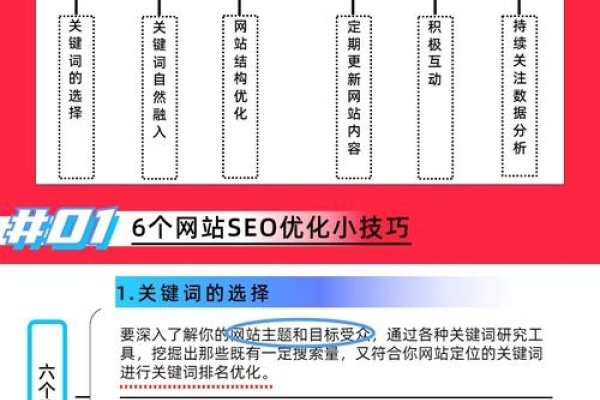 网站首页SEO优化与干货知识分享-新乐天