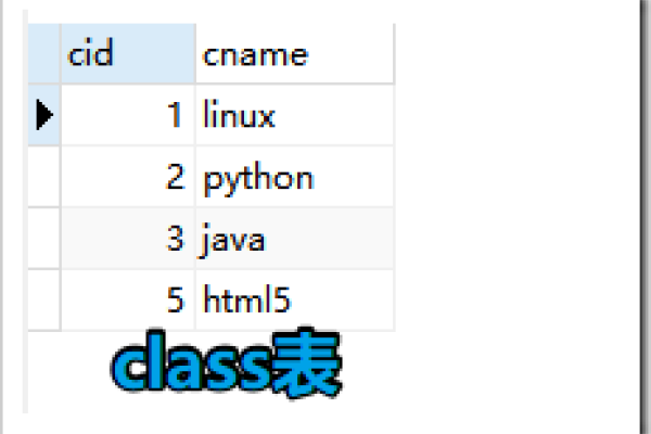 网站子连接查询，深入解析与实例应用-新乐天