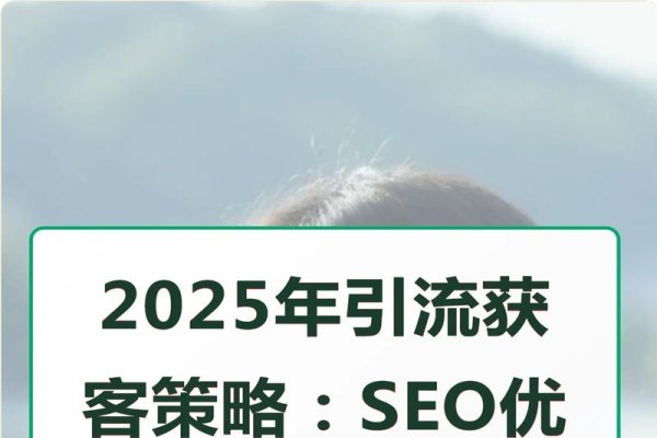 免费SEO在线优化引流策略-新乐天