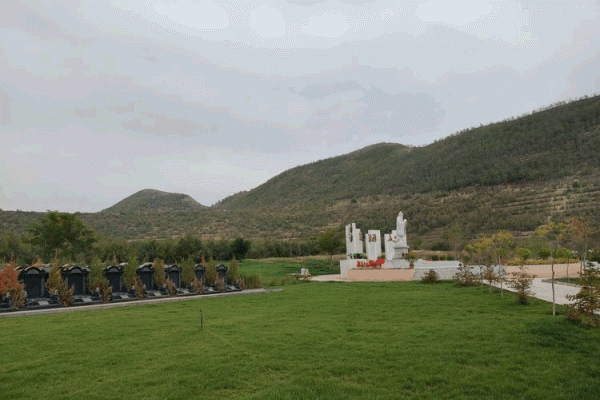 协会官方网站定制价格解析-新乐天