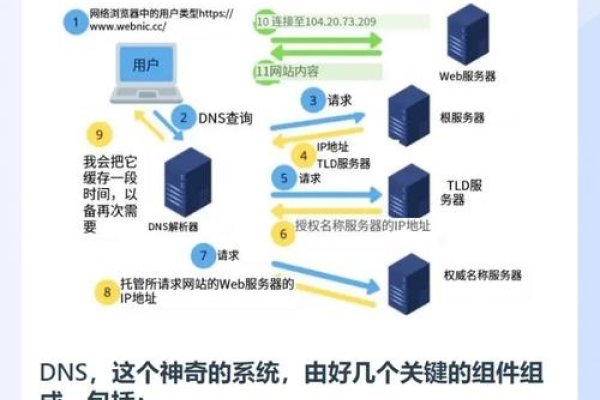 域名访问，互联网时代的入口与路径-新乐天