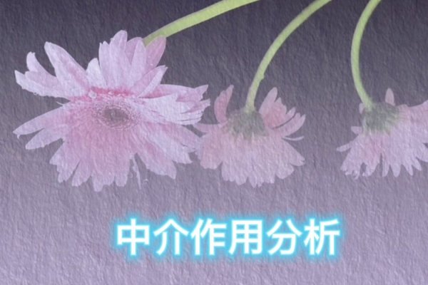 域名中介的角色与职责，解析域名中介的业务流程与角色定位-新乐天