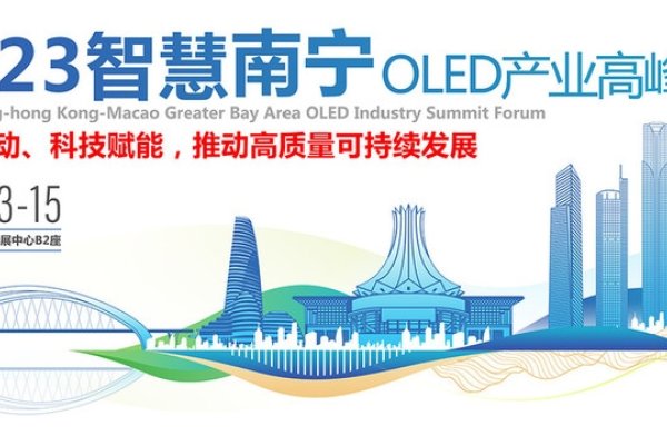 南宁市政府，推动城市发展的先锋力量-新乐天