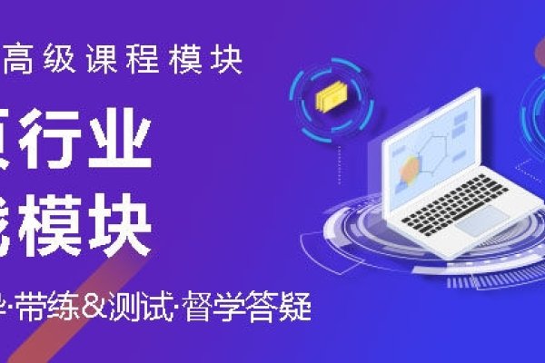 暑期网页设计课程培训，提升设计技能的黄金之旅-新乐天