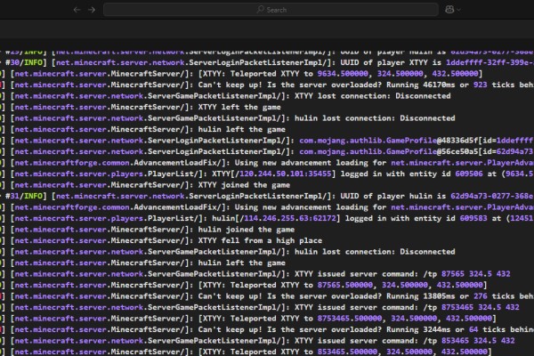 MC服务器状态查询与问题解决方案-新乐天