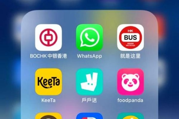 香港网络代理软件，探索与应用-新乐天