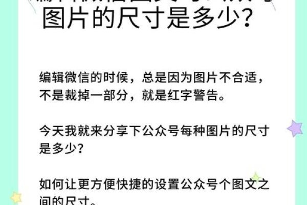 微信网页图文制作指南-新乐天