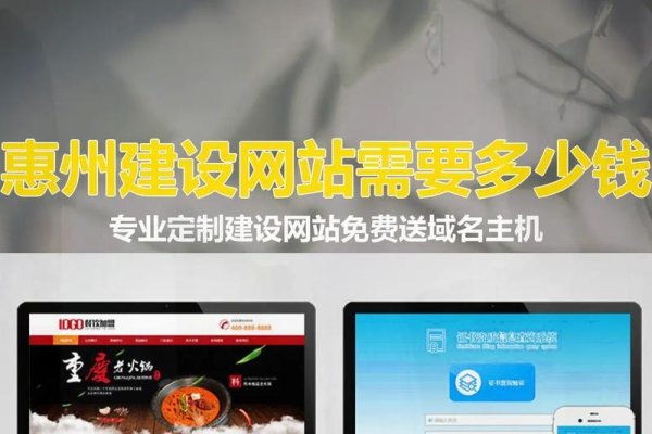 惠州网站建设优质公司解析-新乐天