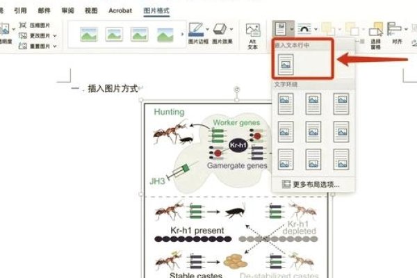 HTML中Style的放置位置-新乐天