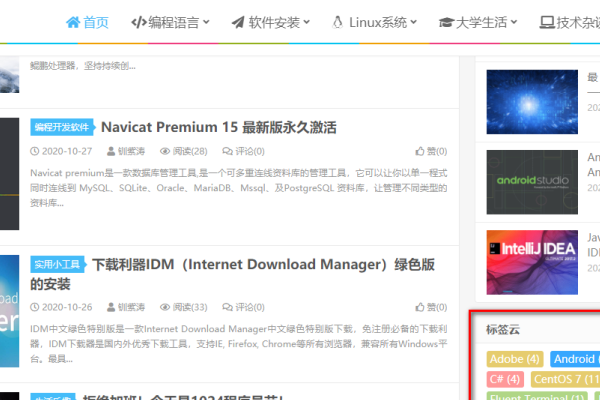 WordPress看文网站，打造个人阅读与分享的乐园-新乐天