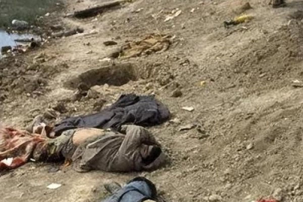 英伊朗之战-新乐天