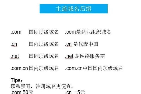 中国域名注册权威机构概览-新乐天
