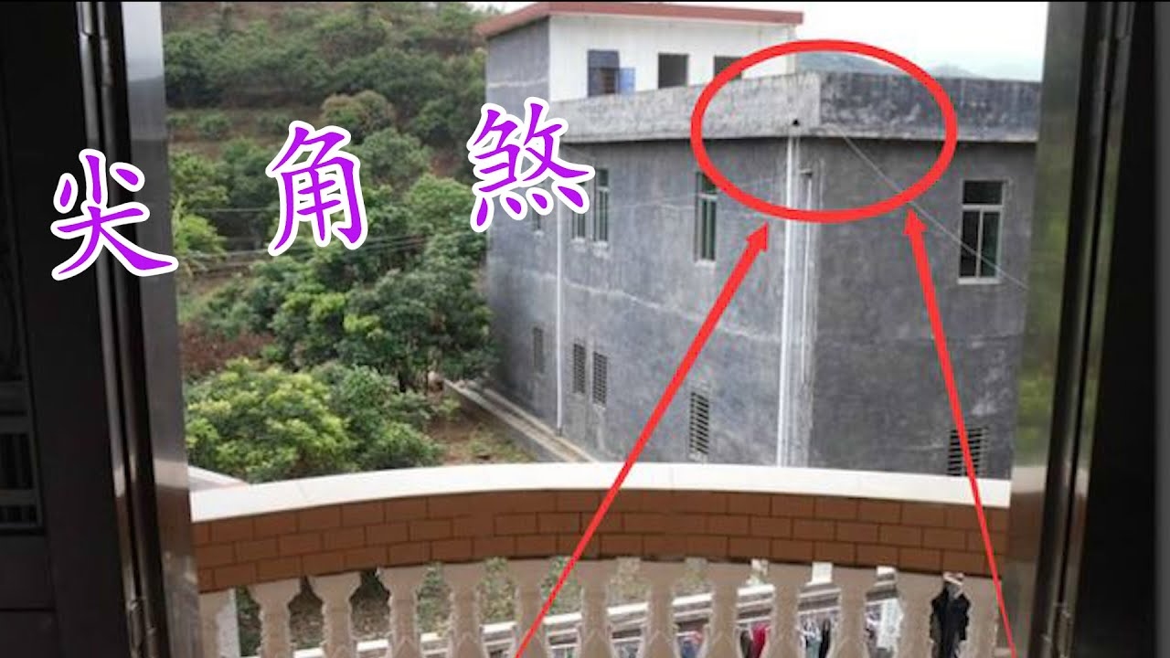 艾草挂门口的风水智慧与禁忌插图