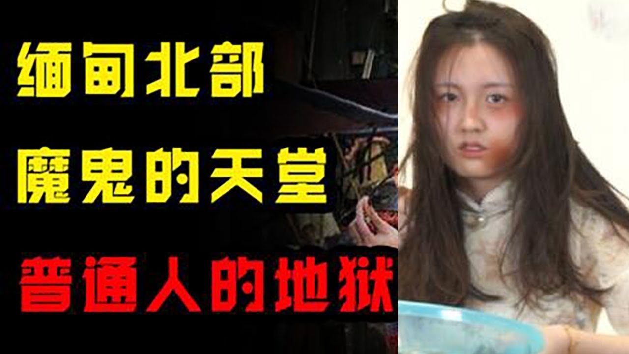 暗无天日下的神秘生肖插图 暗无天日下的神秘生肖插图