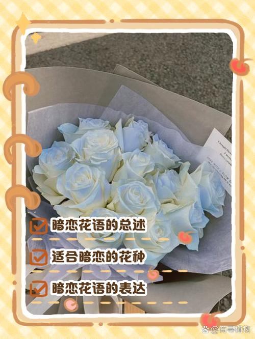 暗恋之花的花语插图 暗恋之花的花语插图