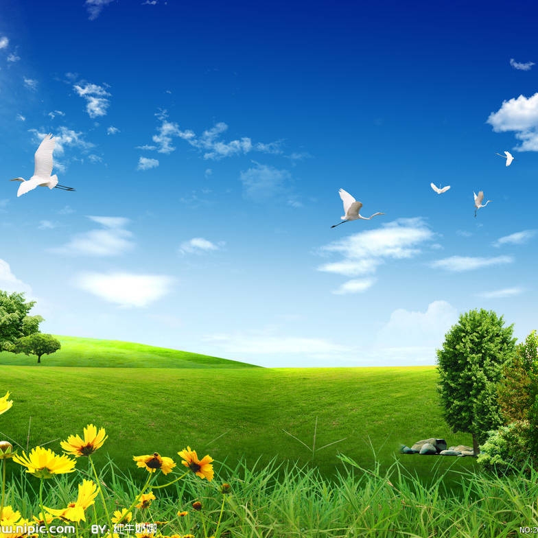 步步高升与生肖插图