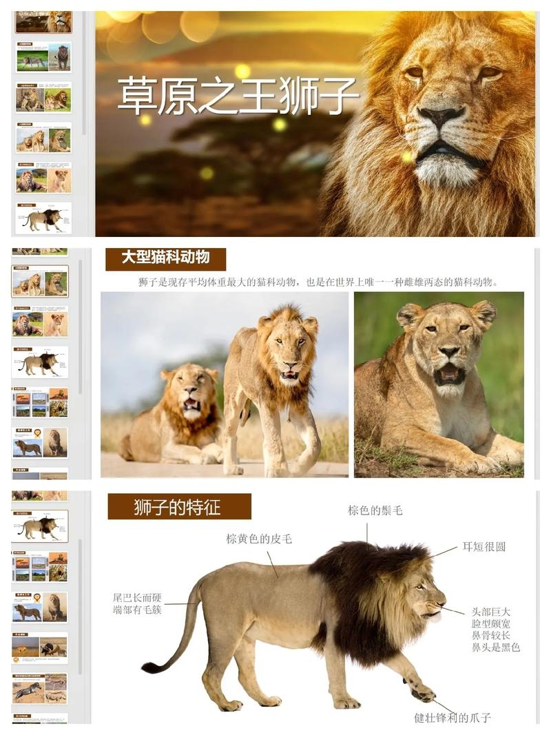 百度百科中的狮子形象与梦境解析插图 百度百科中的狮子形象与梦境解析插图
