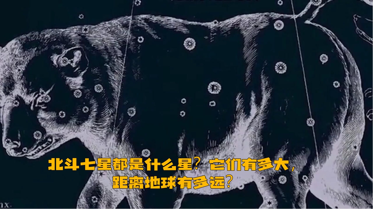 北斗七星所属星座揭秘插图 北斗七星所属星座揭秘插图