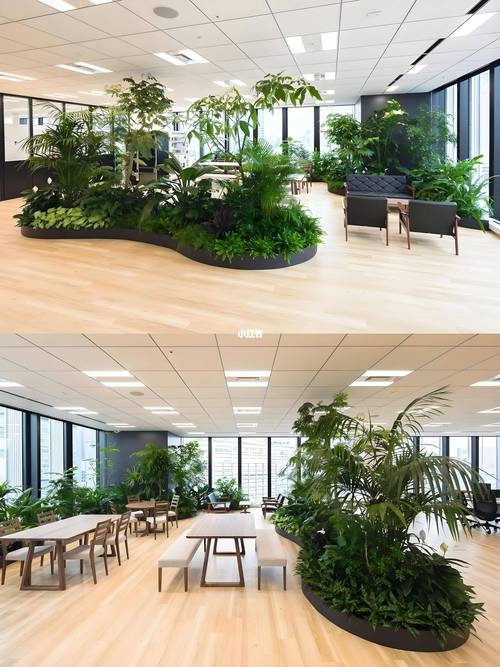 办公室花卉摆放风水，营造和谐与繁荣的办公环境插图