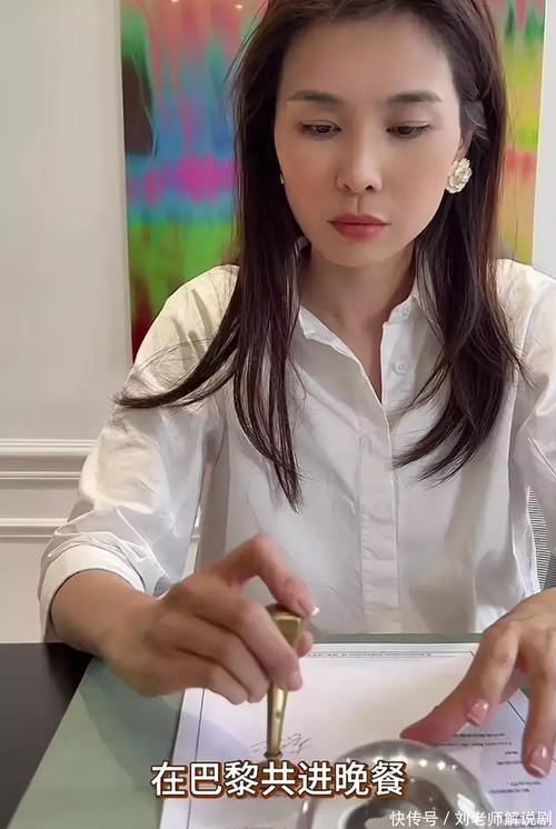 比利时王妃李然，80后编导，企业宣传片导演插图